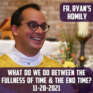 246. Fr. Ryan Homily - What do we do between the Fullness of Time and the End Time?