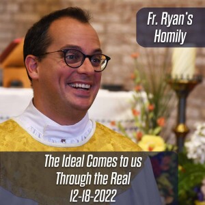 335. Fr. Ryan Homily - The Ideal Comes to us Through the Real