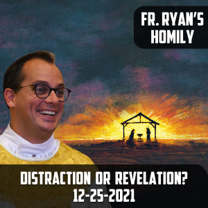 256. Fr. Ryan’s Homily - Distraction or Revelation?
