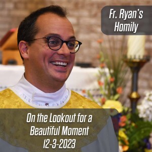 401. Fr. Ryan Homily - On the Lookout for a Beautiful Moment