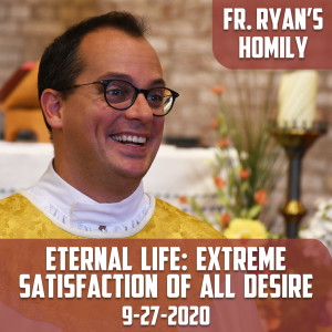 138. Fr. Ryan Homily - Eternal Life: Extreme Satisfaction of All Desire