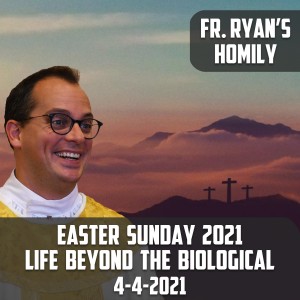 188. Fr. Ryan Homily - Easter Sunday 2021 - Life Beyond the Biological