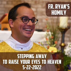290. Fr. Ryan Homily - Stepping Away to Raise Your Eyes to Heaven