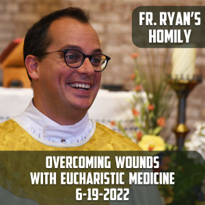 295. Fr. Ryan Homily - Overcoming Wounds with Eucharistic Medicine