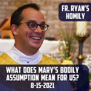 212. Fr. Ryan Homily - What does Mary's Bodily Assumption mean for us?