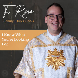 453. Fr. Ryan Homily - I Know What You’re Looking For