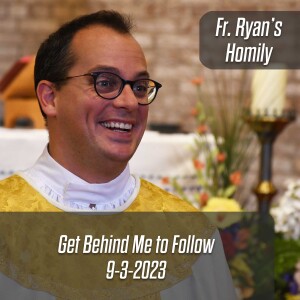 386. Fr. Ryan Homily - Get Behind Me to Follow