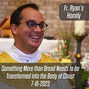 377. Fr. Ryan Homily - Something More than Bread Needs to be Transformed into the Body of Christ