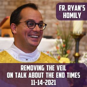 242. Fr. Ryan Homily - Removing the Veil on talk about The End Times