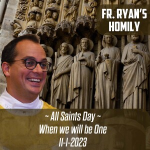 397. Fr. Ryan Homily - All Saints Day - When We will all be One