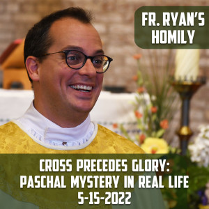 289. Fr. Ryan Homily - Cross Precedes Glory: Paschal Mystery in Real Life