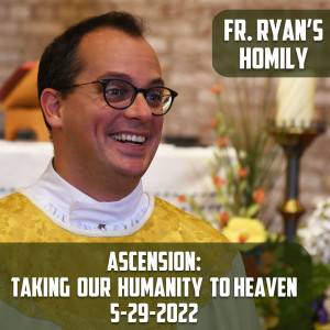 291. Fr. Ryan Homily - Ascension: Taking our Humanity to Heaven