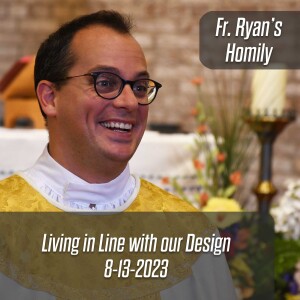 380. Fr. Ryan Homily - Living in Line with our Design