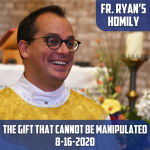 132. Fr. Ryan Homily - The Gift that Cannot be Manipulated