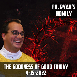 283. Fr. Ryan Homily - The Goodness of Good Friday