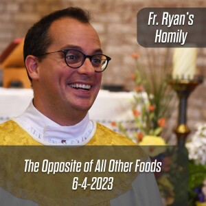 372. Fr. Ryan Homily - The Opposite of All Other Foods
