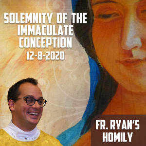 157. Fr. Ryan’s Homily - Immaculate Conception 2020