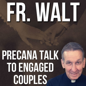 31. Fr. Walt Precana Talk to Engaged Couples 2019