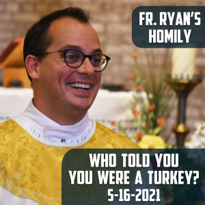 198. Fr. Ryan Homily - Who Told You You Were a Turkey?