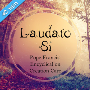 78. Laudato Si - Pope Francis on Creation Care