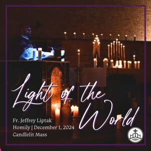 492. Fr. Liptak Homily, Candlelit Mass - Light of the World