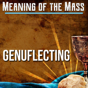 17. Meaning of the Mass - Genuflecting