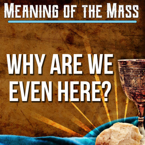 1. Meaning of the Mass - Why are we even here?