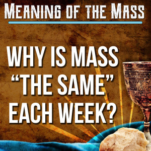 23. Meaning of the Mass - Why is Mass 