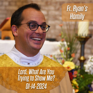 410. Fr. Ryan Homily - Lord, What Are You Trying to Show Me?