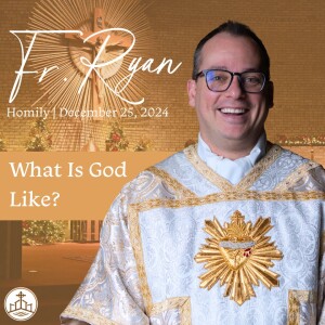 499. Fr. Ryan Christmas Homily - What Is God Like?