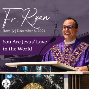 493. Fr. Ryan Homily - You Are Jesus’ Love in the World