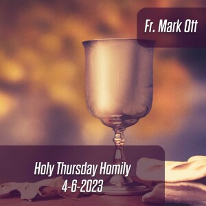 359. Fr. Mark Ott - What if we could see Glory?  Holy Thursday Homily