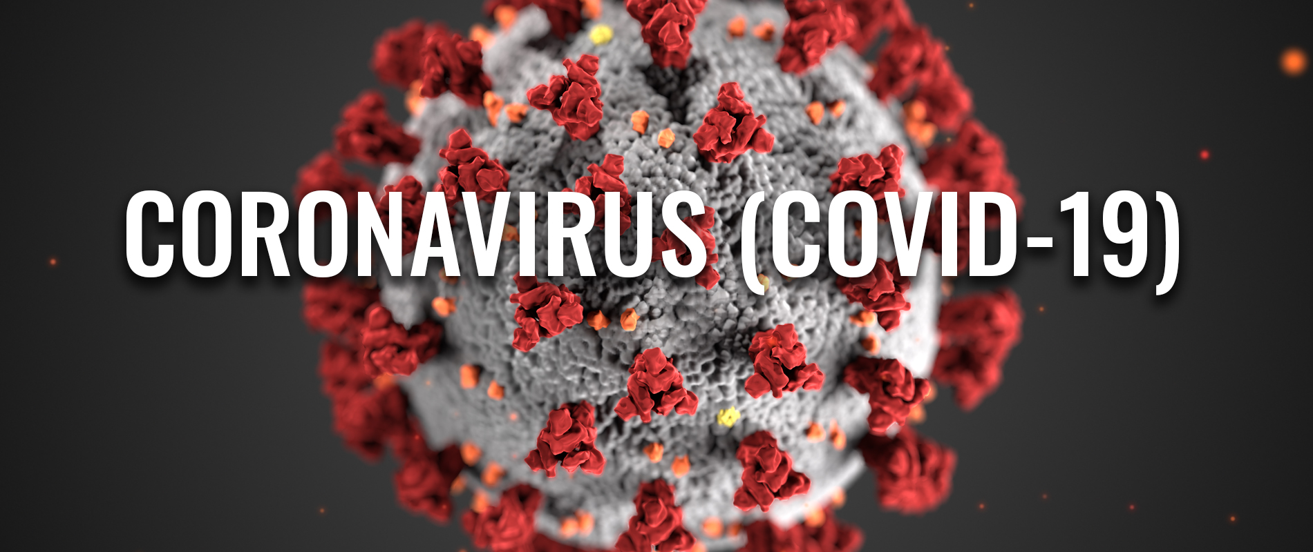 2.7 Societal Shifts and Side Effects of Covid-19
