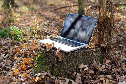 51. Nature, Technology, and Education