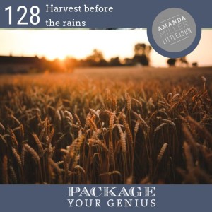 PYG 128: Harvest your gifts before the rains