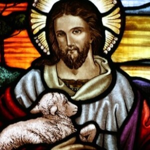Discerning Sheep and Shepherds