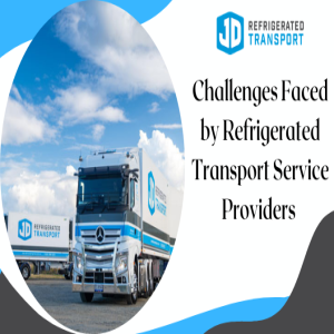 Challenges Faced by Refrigerated Transport Service Providers