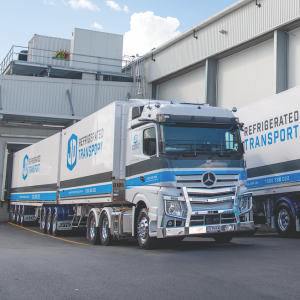 How to Send Frozen Food by Courier Transport?
