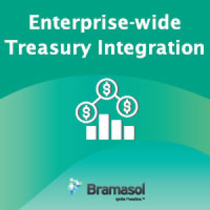 Dave Fellers, Bramasol CEO, discusses the Importance of Enterprise-wide Treasury Integration