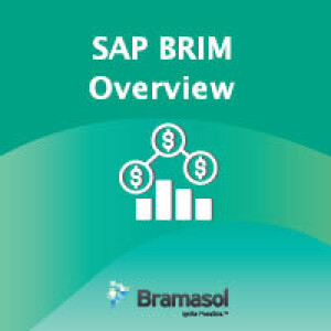 Overview of SAP Billing and Revenue Innovation Management (BRIM)