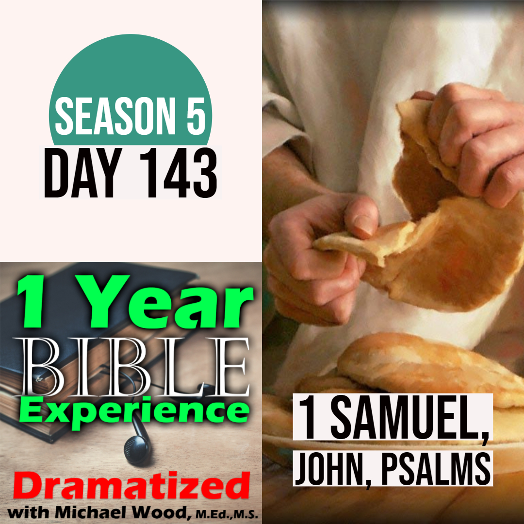 Audio Bible Day 143 | Saul gets Israel in trouble | Jonathan battles the Philistines | Jesus finds his betrayer