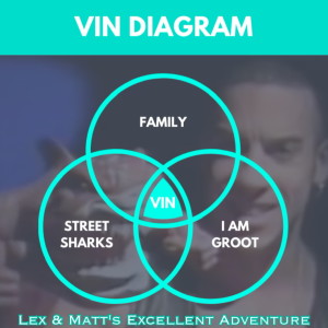 Episode 111: Vin Diagram
