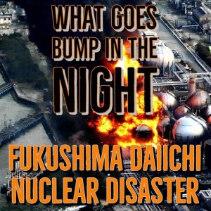 Fukushima  Daiichi Nuclear Disaster