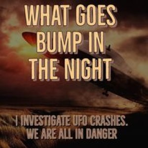 I Investigate UFO Crashes. We are all in trouble.