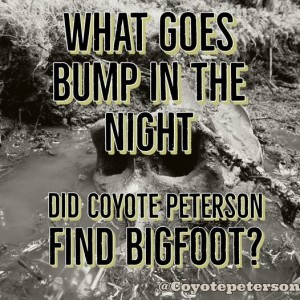 Did Coyote Peterson Find Bigfoot?