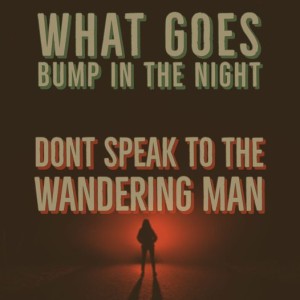 Don’t Speak To The Wandering Man