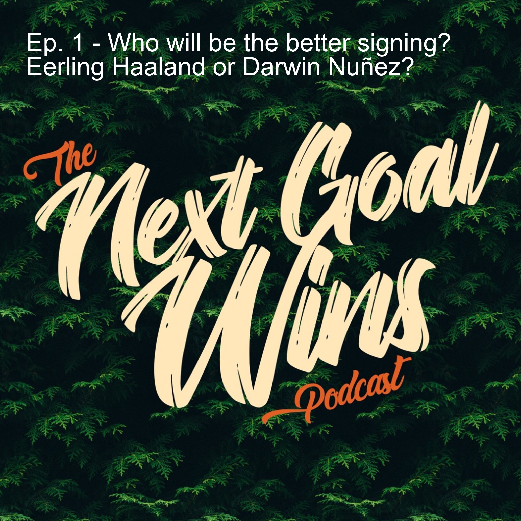 The Next Goal Wins Podcast