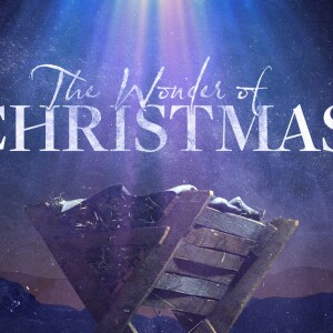 The Wonder of His Joy - 12/17/23