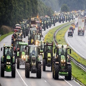 Episode 119: Dutch Farmers And Their Far Right Supporters