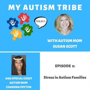 Stress in Autism Families